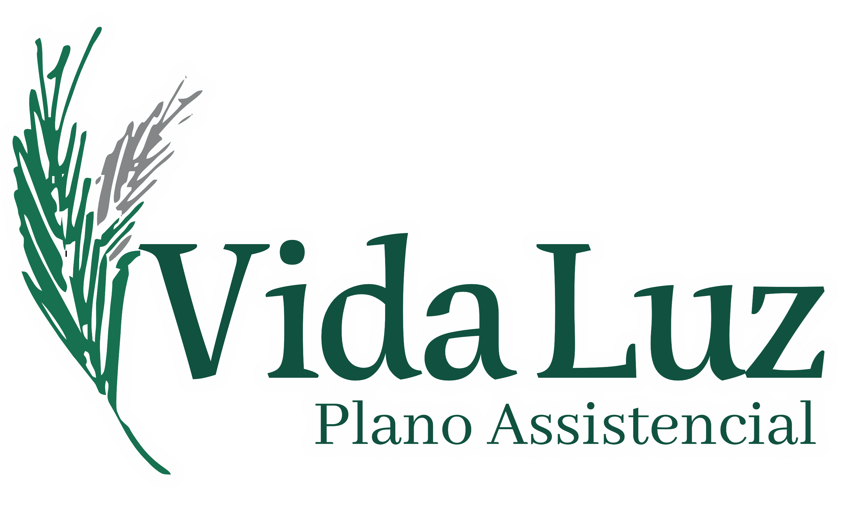 VIDA LUZ Plano Assistencial